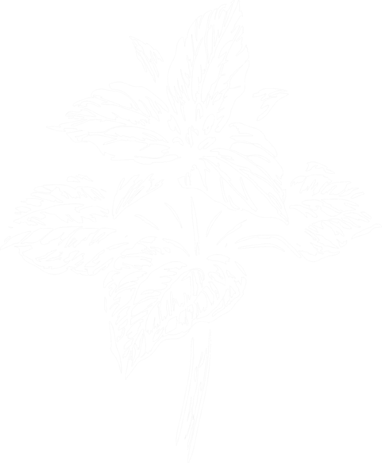 Trillium Flower Art | Nature Lovers | Botanical Gift Idea, the print