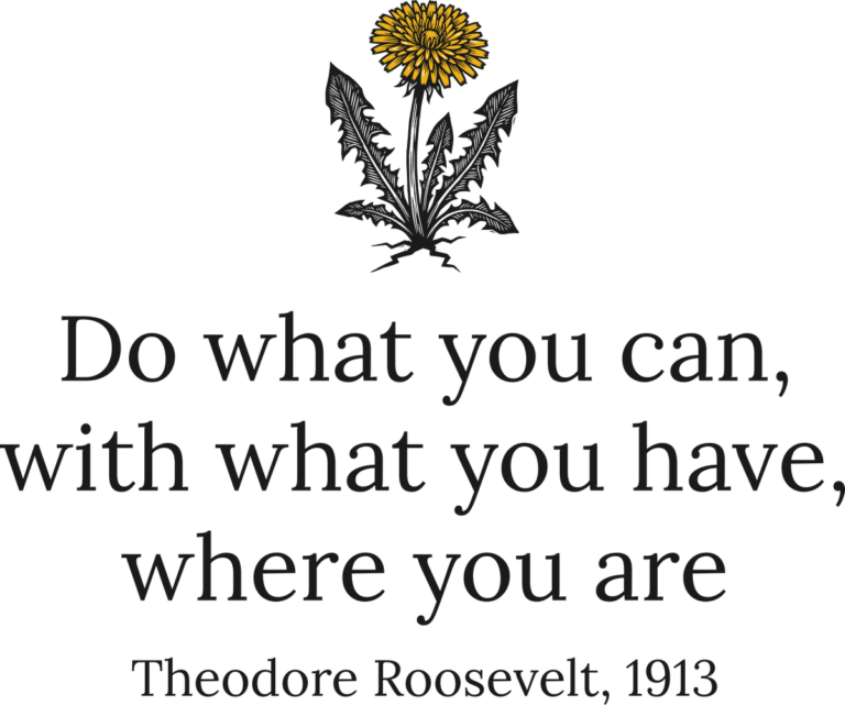 Do What You Can, the print