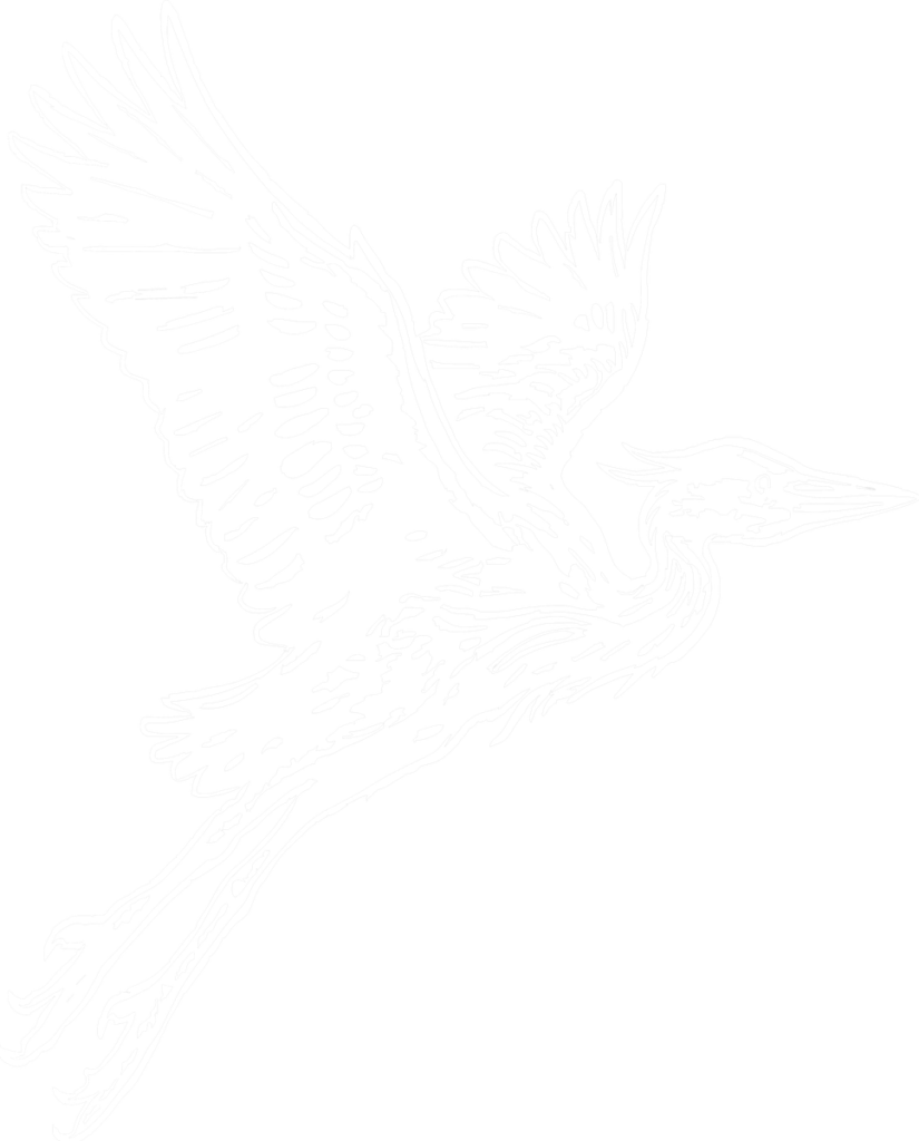 Great Blue Heron, the print (dark ink)