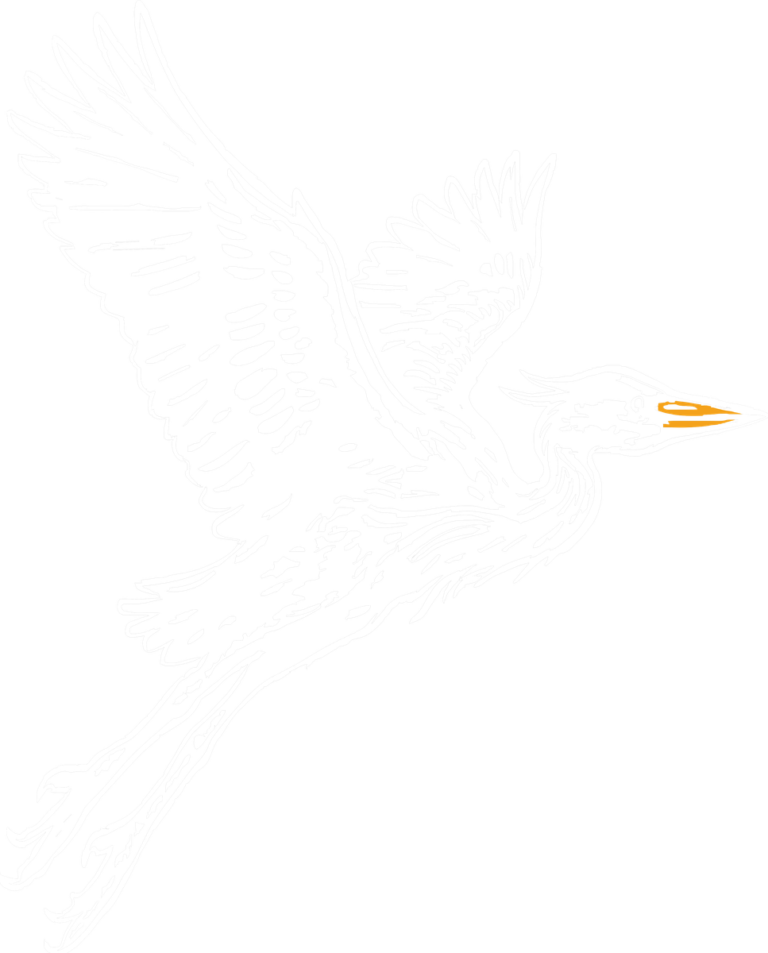 Great Blue Heron, the print