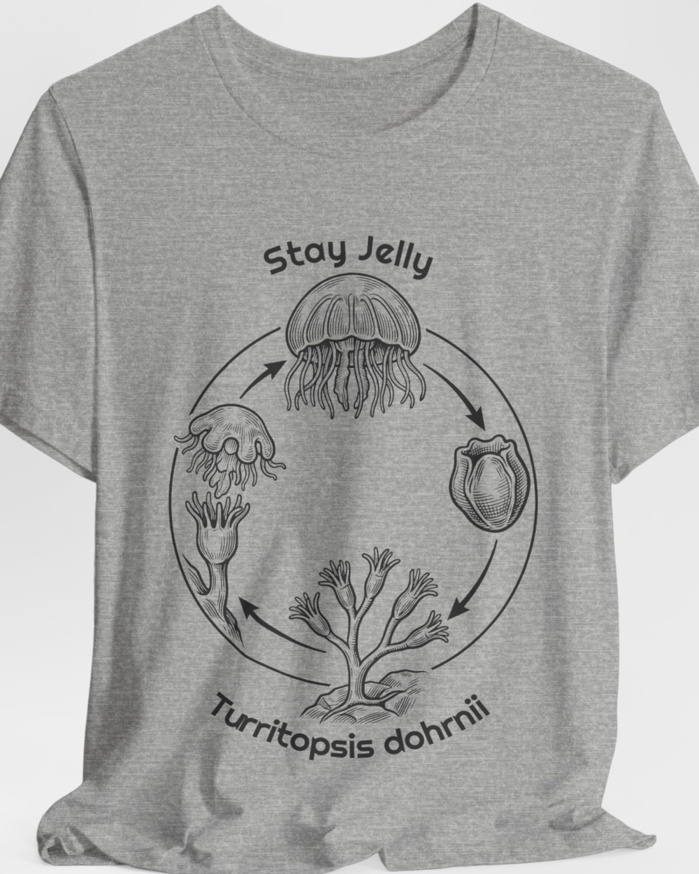 Stay Jelly Immortal Jellyfish — hero heather gray 20261002