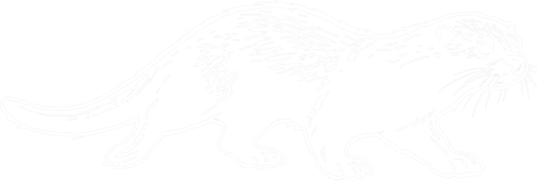 River Otter, the print