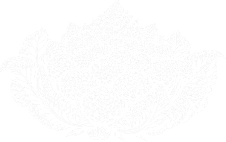 Romanesco Broccoli, the print