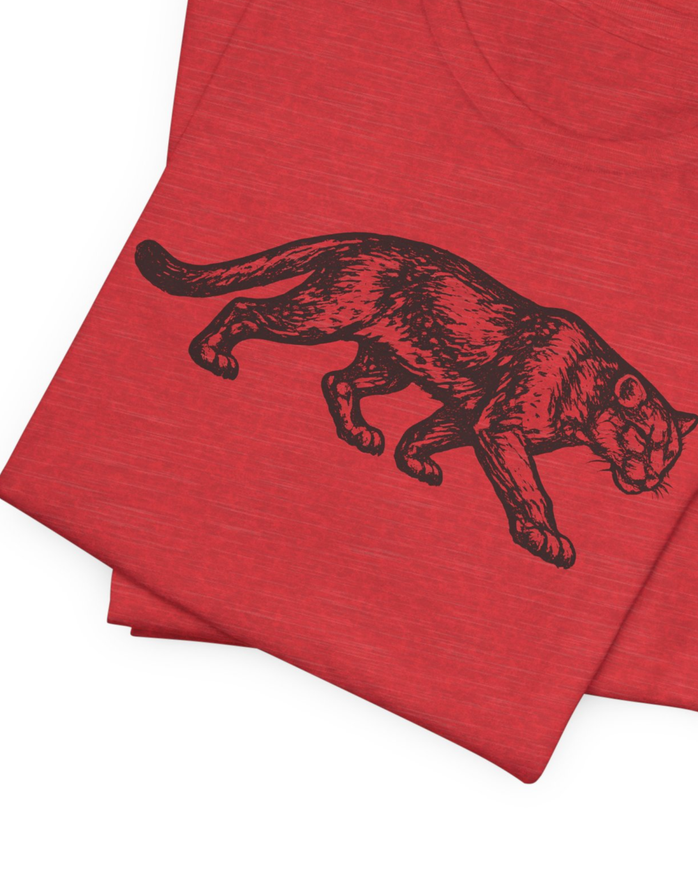 Stalking Cougar — hero-red-20261003-200319 Stalking Cougar — hero red 20261003