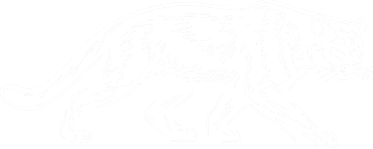 Stalking Cougar, the print