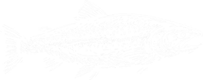 Trout, the print