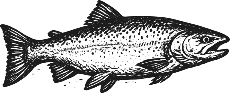 Trout, the print